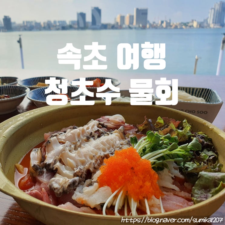 속초 당일치기 여행, 강원도 맛집 청초수 물회와 전복죽