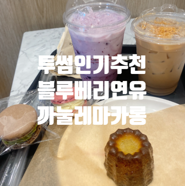  투썸플레이스 블루베리 요거트 드링크 연유라떼 까눌레 칼로리 가격 선릉역 강남삼성로점 넓은 조용한 카페 수박 신메뉴