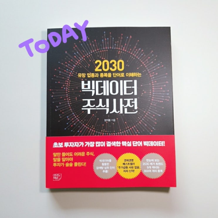  2030 빅데이터 주식 사전