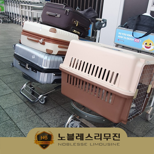  해외입국자 콜밴 7월부터는 일반대중교통도 이용가능