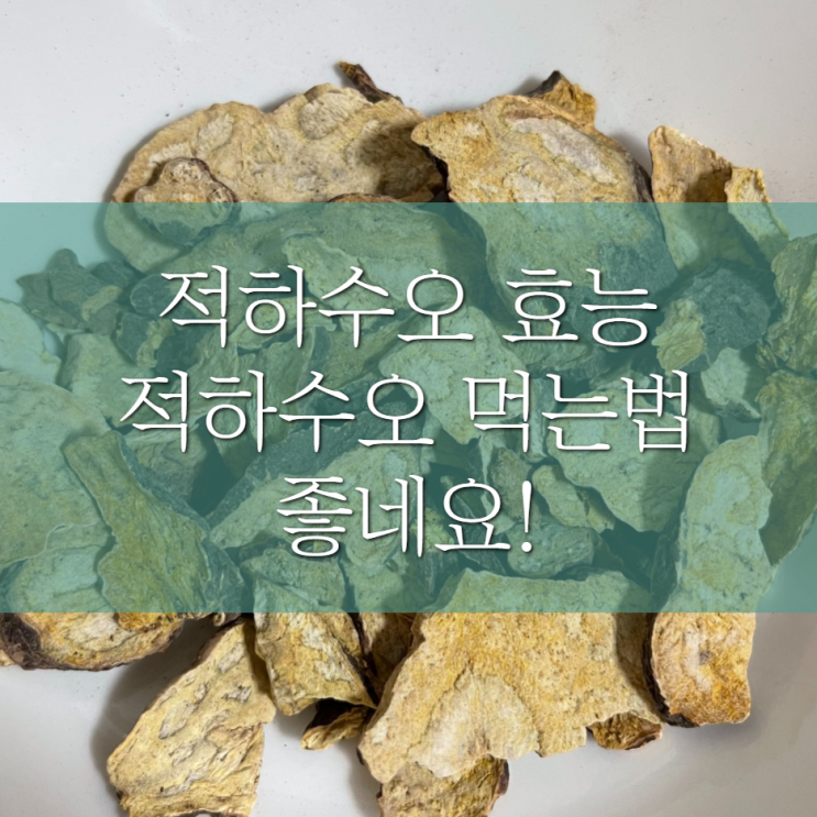  적하수오 효능 먹는법 좋네요