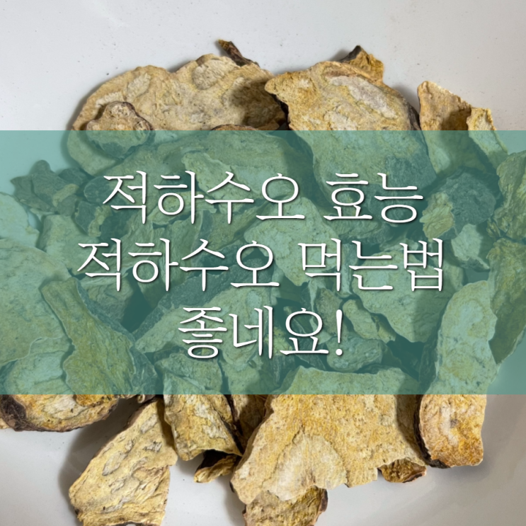 적하수오 효능 먹는법 좋네요