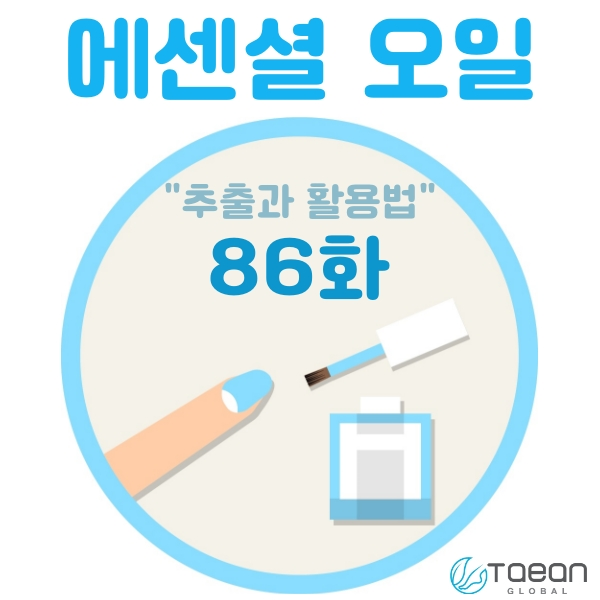  에센셜 오일 _ 추출과 활용법 86화