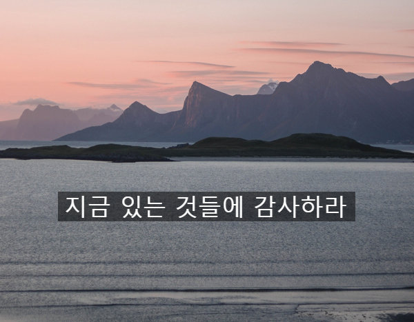  진심으로 감사하라 - DAY92