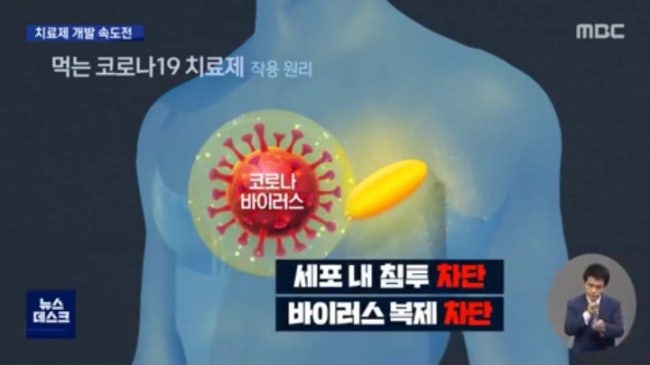 어머나  세상에! 경구용 코로나 치료제 이제 히트치는거니? 관련기사 모음! 어게피!