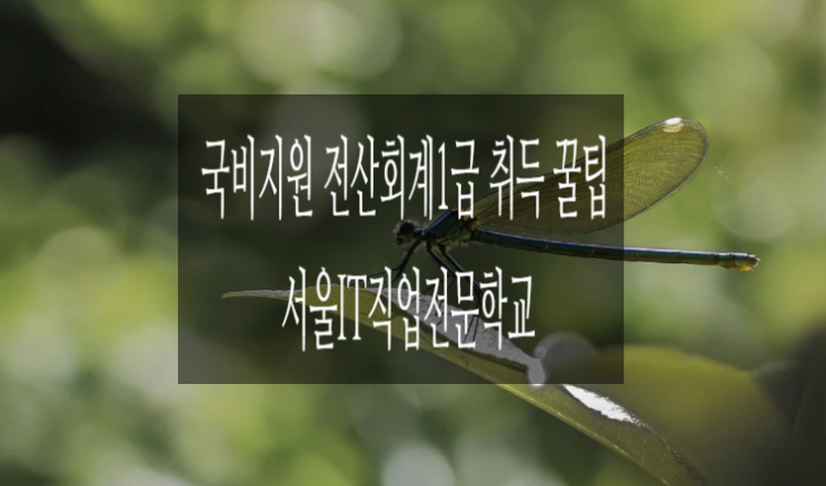[국비지원] 전산회계1급 자격증 취득 꿀팁_서울IT직업전문학교