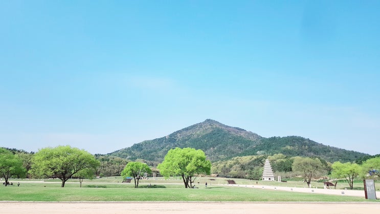  가슴이 뻥 뚫리는 이곳 익산 미륵사지
