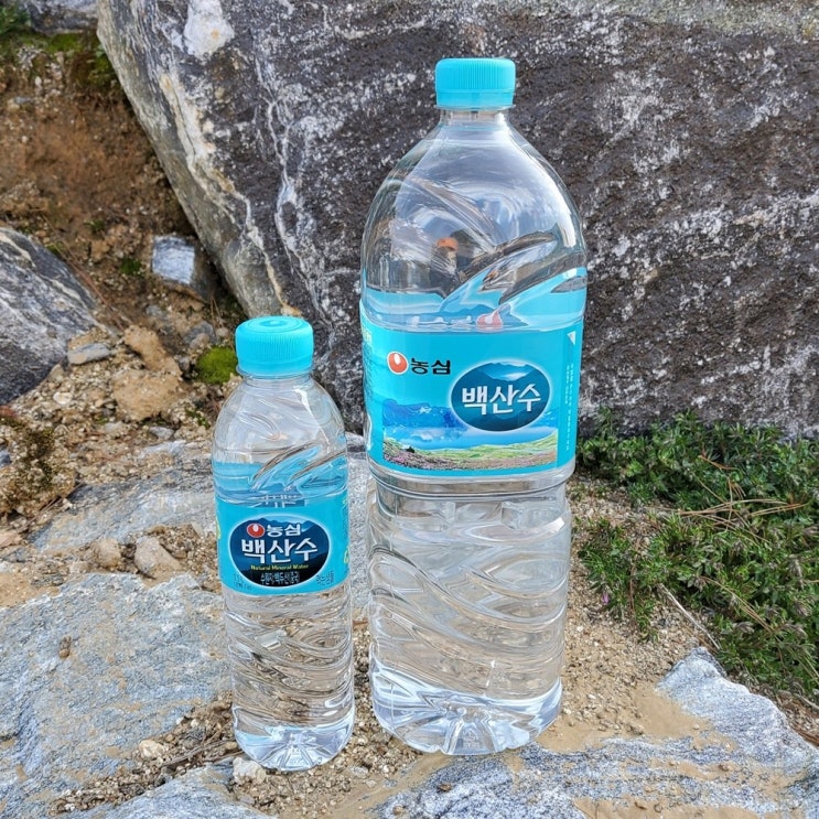 최근 인기있는 2L 500ml 안전한 천연 미네랄 워터 물 생수 먹는샘물 암반수, 30개 추천해요 최근 인기있는 2L 500ml 안전한 천연 미네랄 워터 물 생수 먹는샘물 암반수, 30개 추천해요