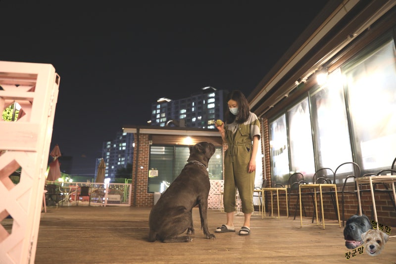 사진 4