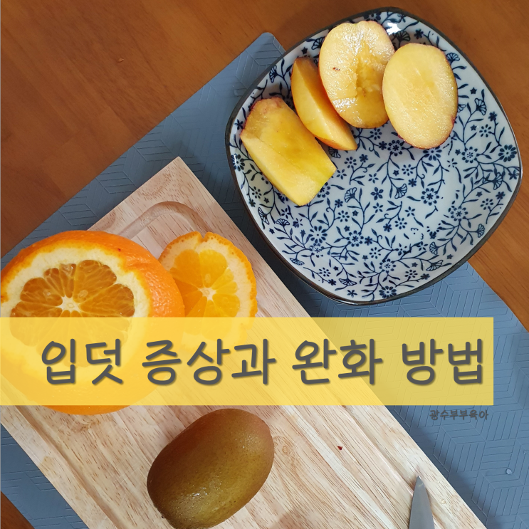  [육아] 임산부 입덧 증상 완화 방법 추천 : 입덧 증상에 도움이 되는 것들은?