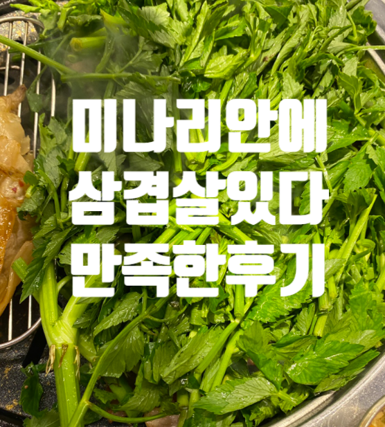  성남 분당 정자역 미나리 삼겹살 숙성돼지 구워먹는 치즈 최강조합 주차 가능