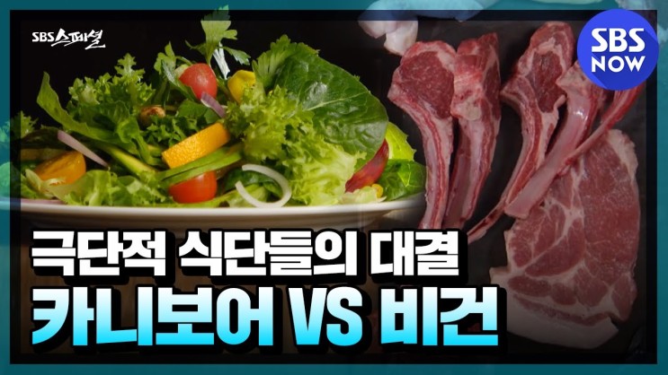 [SBS 스페셜 육채전쟁 리뷰] 카니보어(무탄고지)와 비건(완전 채식) 다이어트의 맹점!
