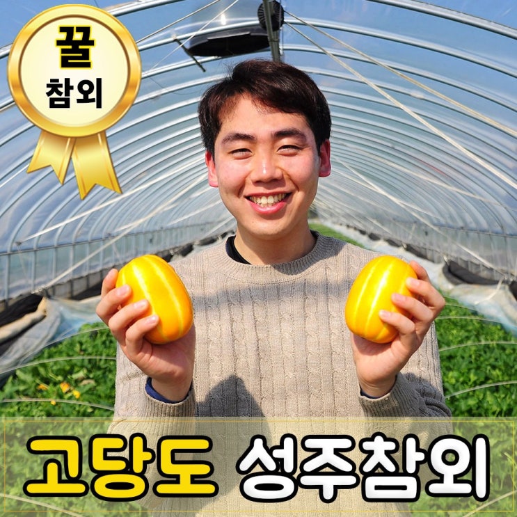 후기가 정말 좋은 성주참외 꿀참외 산지직송 꿀벌 성주참외농협 3kg 5kg 로얄과 가정용 못난이, 3kg 소과 (15~20개입) 추천해요 후기가 정말 좋은 성주참외 꿀참외 산지직송 꿀벌 성주참외농협 3kg 5kg 로얄과 가정용 못난이, 3kg 소과 (15~20개입) 추천해요