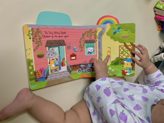 아기 첫 영어책 | 비지베어 싱어롱위드미 비교