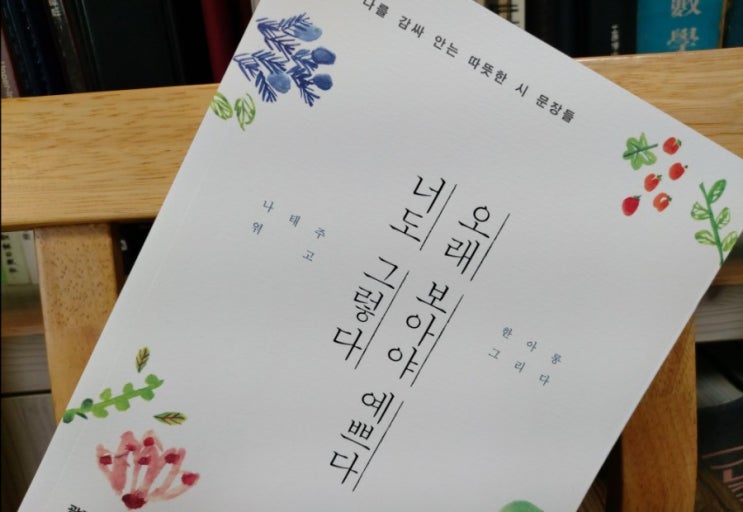 멀리 풍경 풀꽃 희망 / 오래보아야 예쁘다 너도 그렇다 나태주 엮음 시 사랑 위로 휴식의 시 멀리 풍경 풀꽃 희망 / 오래보아야 예쁘다 너도 그렇다 나태주 엮음 시 사랑 위로 휴식의 시