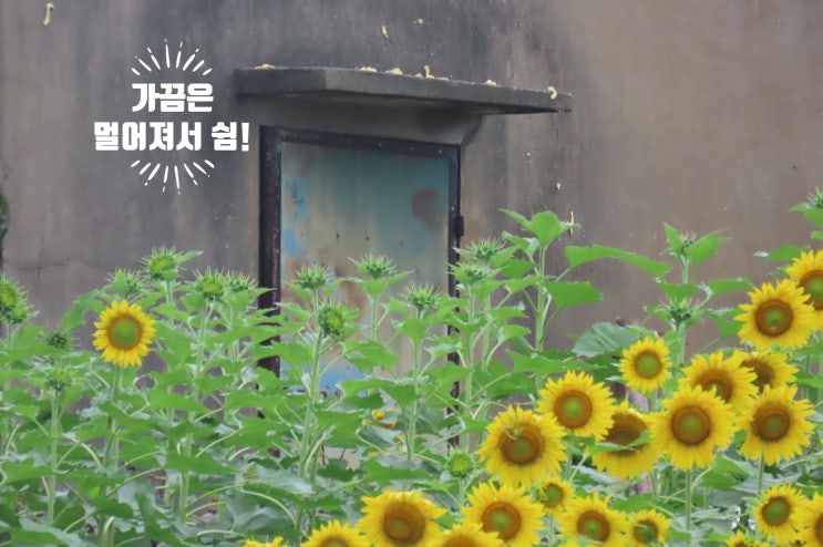  쉬어가라