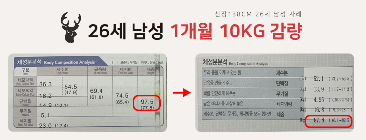  1달간 10kg 감량 후 다이어트 정체기, 어떻게 하면 좋나요?