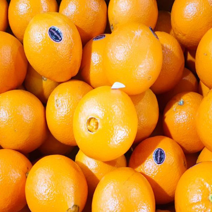 구매평 좋은 퓨어스펙 고당도 오렌지 특품, 70개, 18kg ···