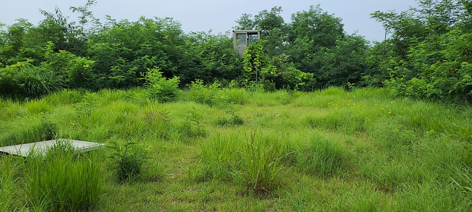 말잔등산 사진 4