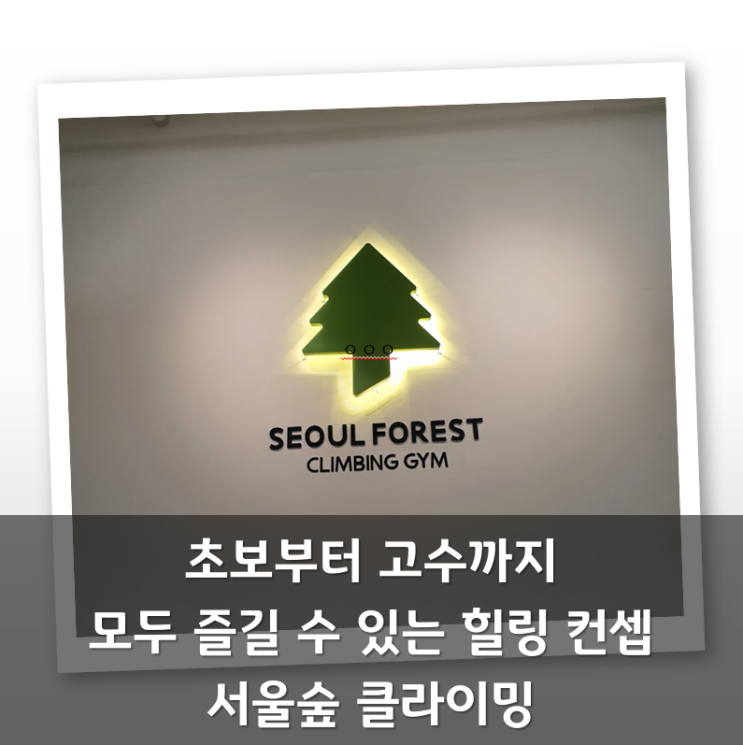  초보부터 고수까지 모두 즐길 수있는 힐링컨셉 서울숲클라이밍