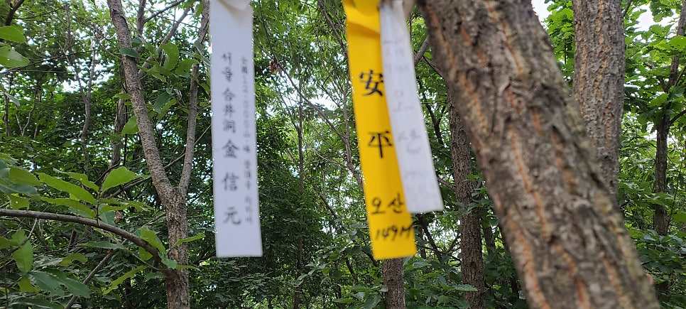 말잔등산 사진 5