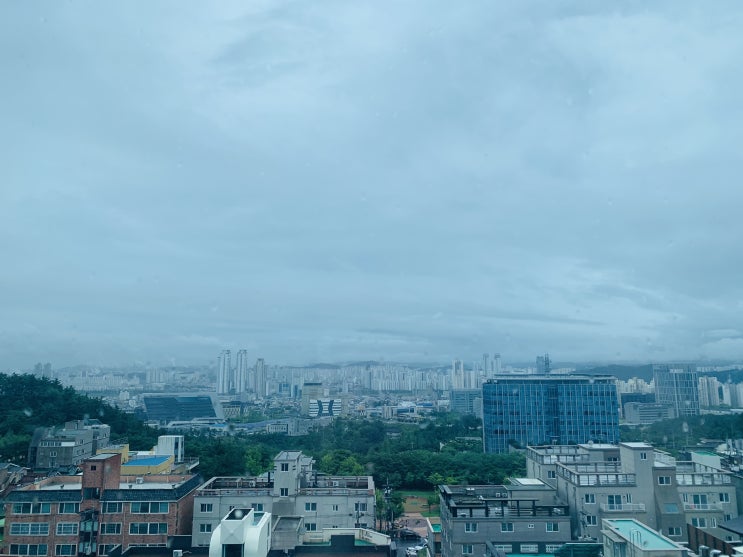  2021. 7. 6 오늘의 일기