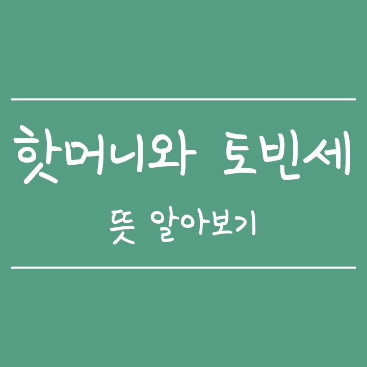 핫머니와 토빈세 뜻 알아보기 핫머니와 토빈세 뜻 알아보기