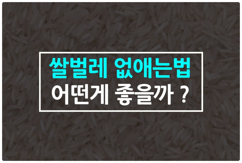 쌀벌레 없애는법 어떤게 좋을까 ?