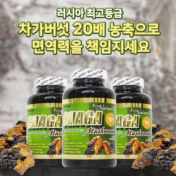 갓성비 좋은 (PNC) 3SET 러시아산 차가버섯 20배 캡슐 180정 베타글루칸 (PNC Russian CHAGA Mushroom) 좋아요