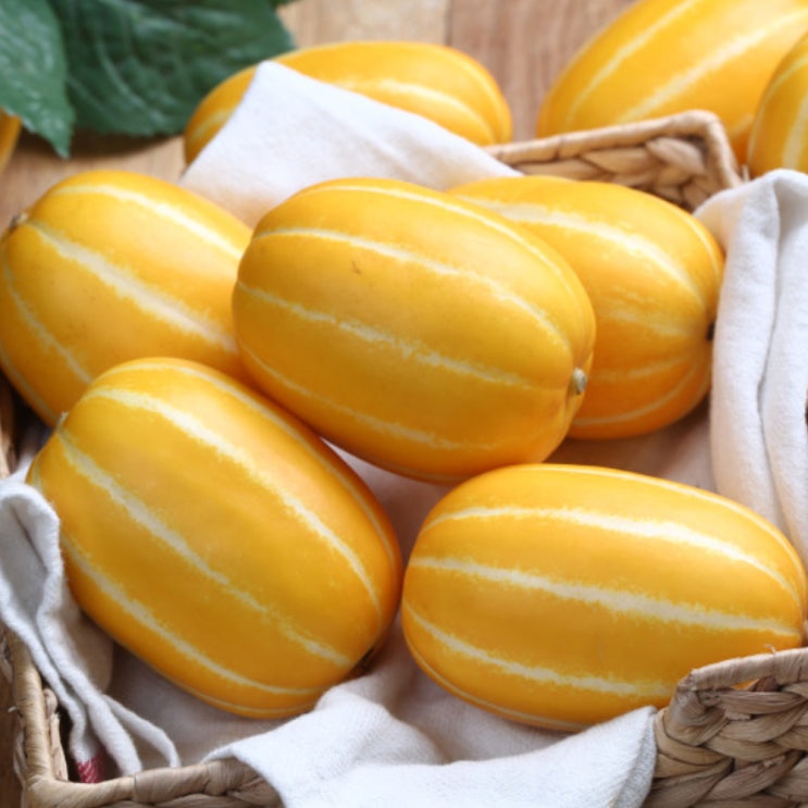 인지도 있는 온테이블365 성주 참외 실속 과수 4kg/5kg 성주꿀참외, 실속 과수 5kg 추천합니다 인지도 있는 온테이블365 성주 참외 실속 과수 4kg/5kg 성주꿀참외, 실속 과수 5kg 추천합니다