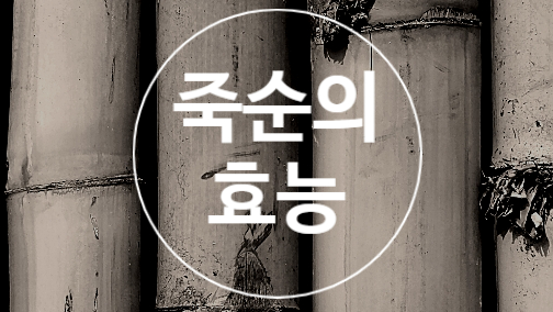  죽순 효능 도대체 어디까지?