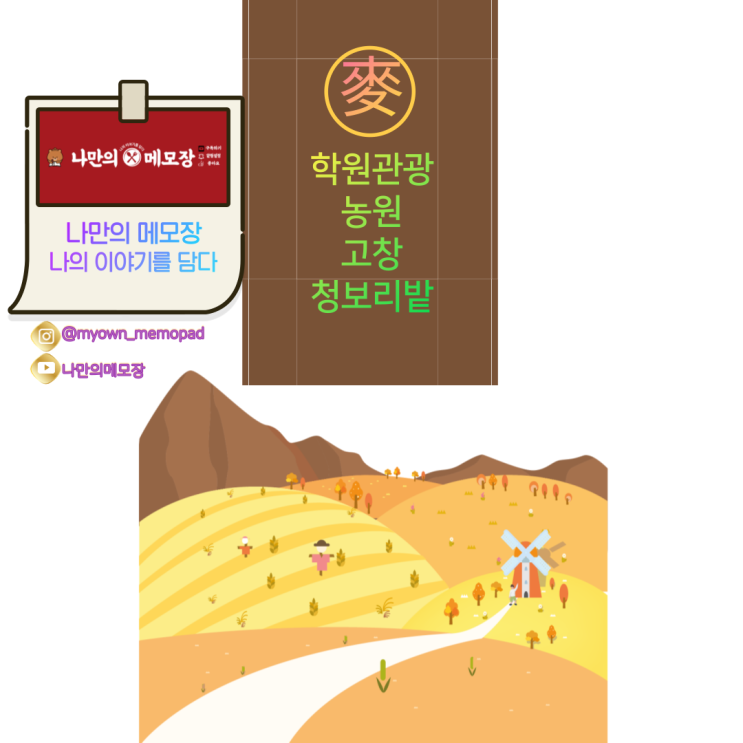  고창 청보리밭 '학원관광농원 고창 청보리밭'