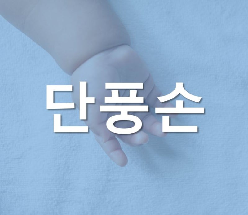 단풍손 (feat. 단풍손 연예인)