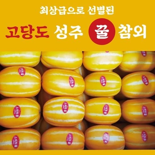 가성비갑 참외, 1box, 10kg 추천합니다