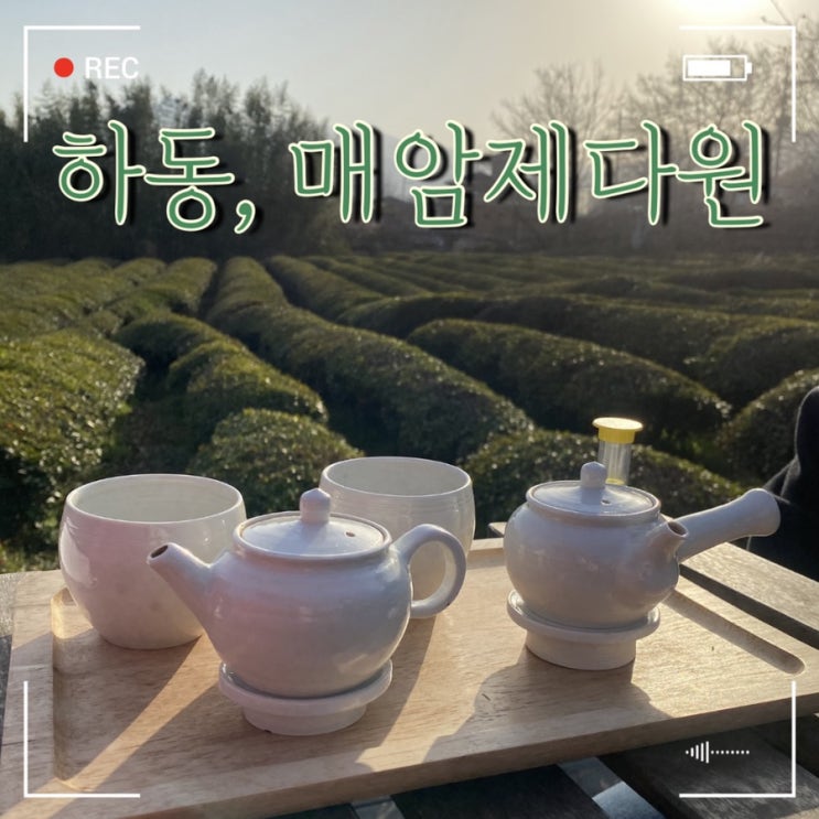  하동 매암제다원, 초록하고 따듯한 날. 맛났던 녹차까지 