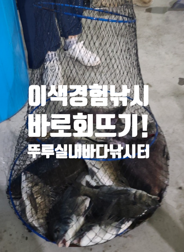  일산 실내바다 낚시터 서울근교 낚시 데이트로 취향저격 ! 뚜루 실내바다낚시터 후기