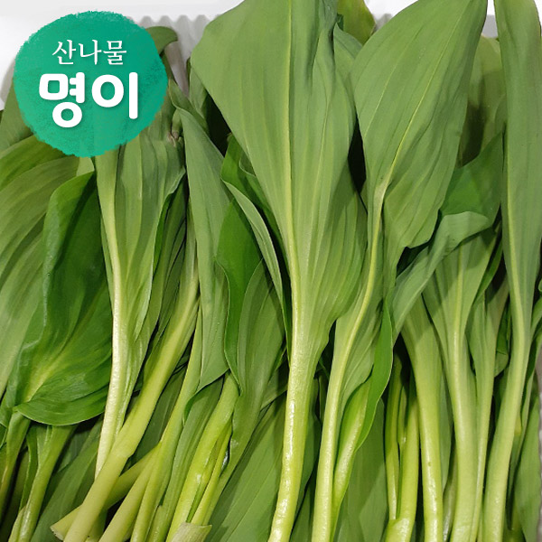 인기 급상승인 강원도 고랭지 산 명이나물산마늘 1kg/2kg/3kg/4kg, 단품 추천해요