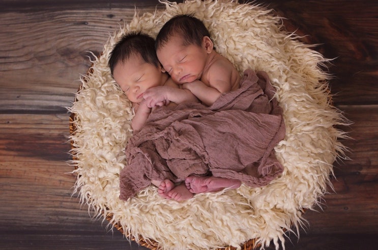 쌍둥이임신 : 쌍둥이임산부 생활수칙