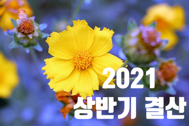 두둥! 2021 상반기 결산 두둥! 2021 상반기 결산
