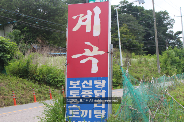  경기용인 처인구맛집)  발 담그고 백숙 먹는 금어리 계곡