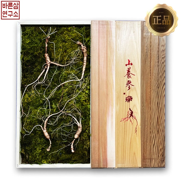 가성비 좋은 바른삼연구소 36년 심마니 국내산 산양삼 자연산 산양산삼 산양 산삼 장뇌삼 장뇌 7년근 10년 10년근 13년근, 일반포장(신선스티로폼+고급보자기), 13년근 5뿌리 가성비 좋은 바른삼연구소 36년 심마니 국내산 산양삼 자연산 산양산삼 산양 산삼 장뇌삼 장뇌 7년근 10년 10년근 13년근, 일반포장(신선스티로폼+고급보자기), 13년근 5뿌리