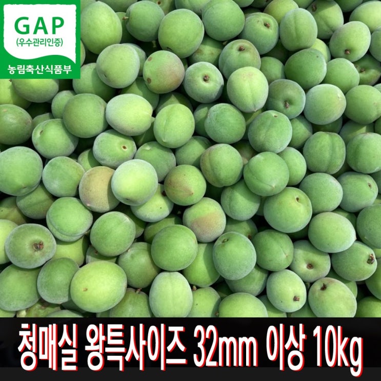 많이 찾는 보해매실농원 GAP우수관리인증 매실 10kg 6월 수확 발송, 1박스, 3. 왕특사이즈 32mm 이상 추천해요