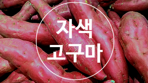  자색고구마효능 대해서 알아봐요!!