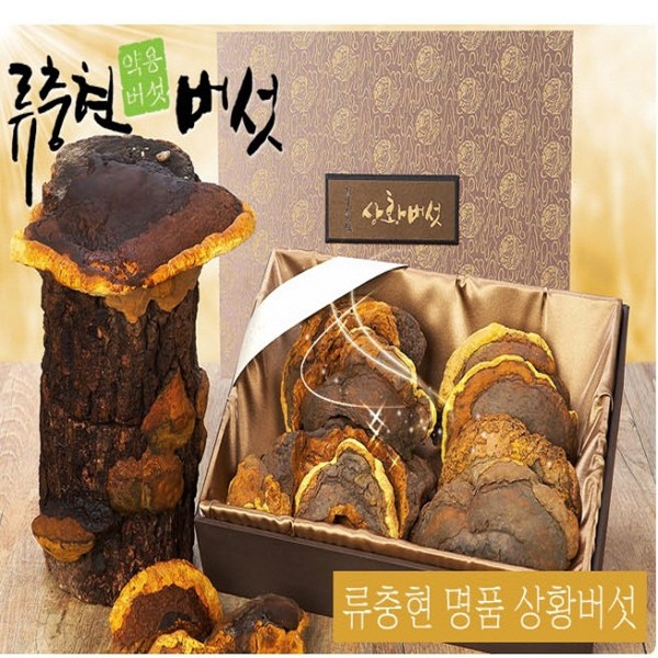 선호도 높은 류충현약용버섯 명품상황버섯 상품 상황버섯 달인물 차 가루 분말 먹는방법 추천 300g, 1박스 추천해요 선호도 높은 류충현약용버섯 명품상황버섯 상품 상황버섯 달인물 차 가루 분말 먹는방법 추천 300g, 1박스 추천해요