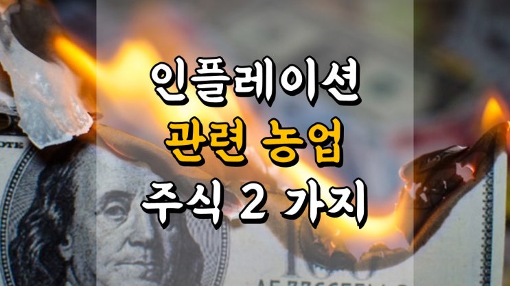 인플레이션 관련 농업 주식 2 가지 - 모자이크 MOS, 뉴트리엔 NTR, 식량 관련주