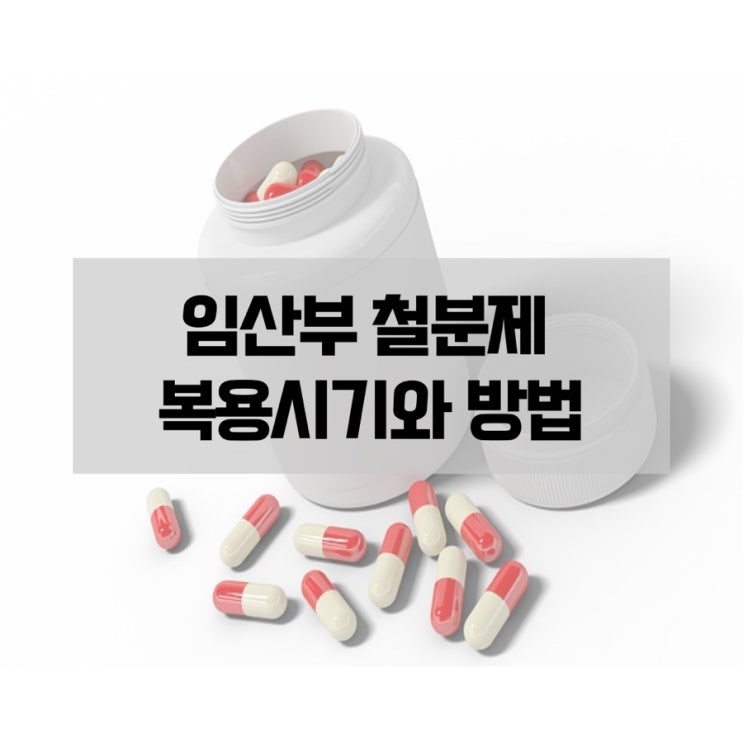  임산부 필수 영양제 철분제 복용시기와 복용방법 확인해봐요