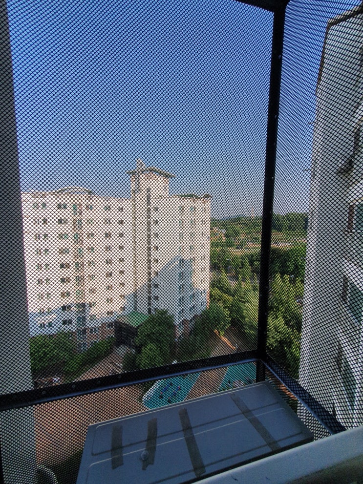  비둘기퇴치업체가 필요한 근거
