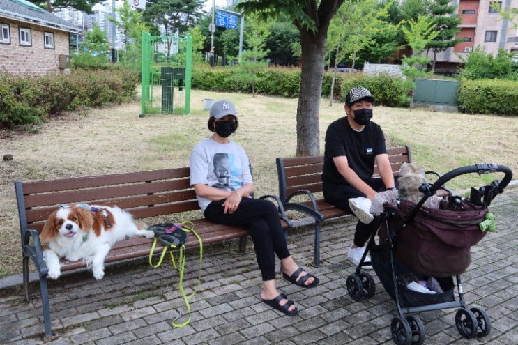  천안 걷기 좋은 길 청수호수공원