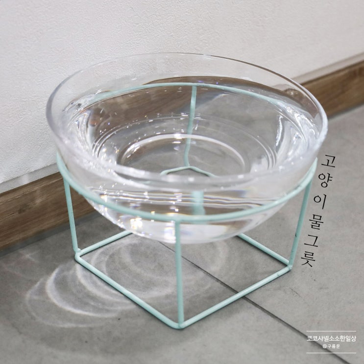  고양이 물그릇, 집사를 위한 다이소 꿀템! 저렴한데 이뻐