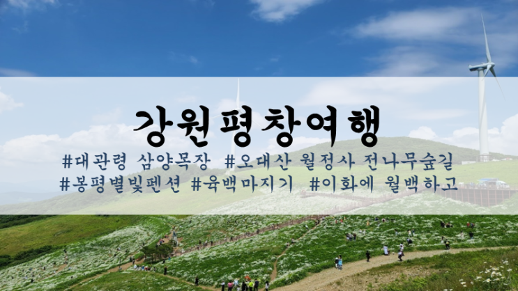  [강원평창여행:1박2일]대관령 삼양목장, 오대산 월정사 전나무숲길, 봉평별빛펜션, 육백마지기, 이화에 월백하고